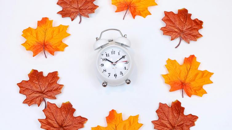 Leaves in a circle with an analog clock in the middle